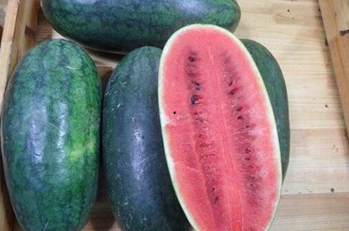 金静怡吃瓜黑料